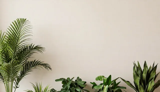 患者依从性影响治疗效果的原因分析